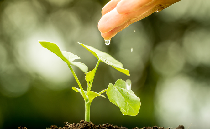 ifs_minimizing-the-environmental-impact-of-asset