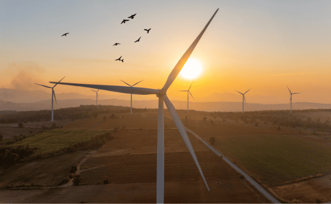 Renewable energy wind turbines against a colorful sunset sky