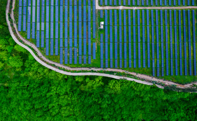 Sustainable energy solar farm surrounded by greenery