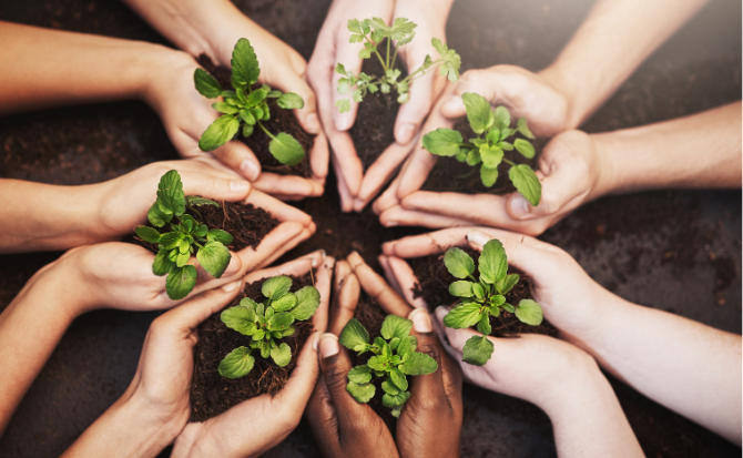 Unlock-CSRD-Success-Header Image