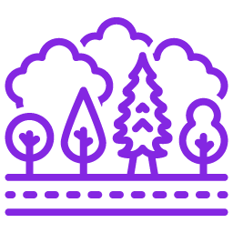 icon_Evergreen Forever_ 256 x 256 px -17