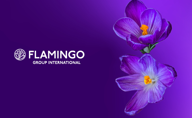 Flamingo-Group_670x413_for_site