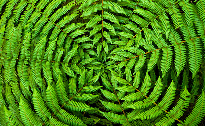 drive-towards-sustainable-economy