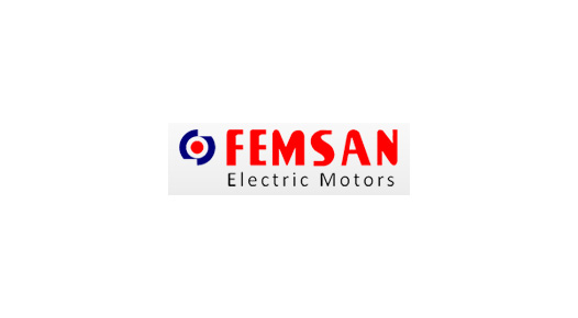 femsan logo