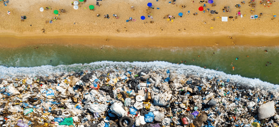 ifs_IFSSustainability_03_22_930x423