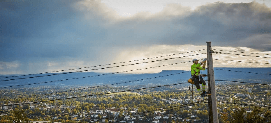 ifselvia0322930x42311