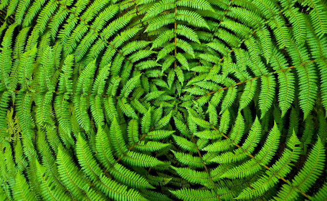 ifs_role_of_eam_11_23_670x413