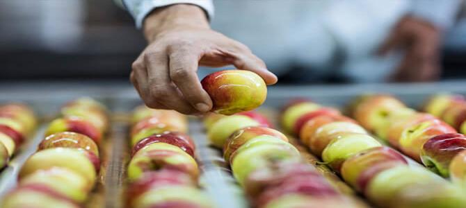 A close-up shot of a person's hand picking a single red and yellow apple from a long line of identical apples, likely on a processing or sorting line.